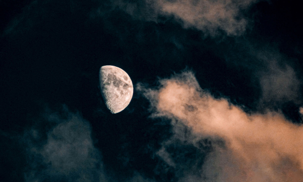 Bild måne
