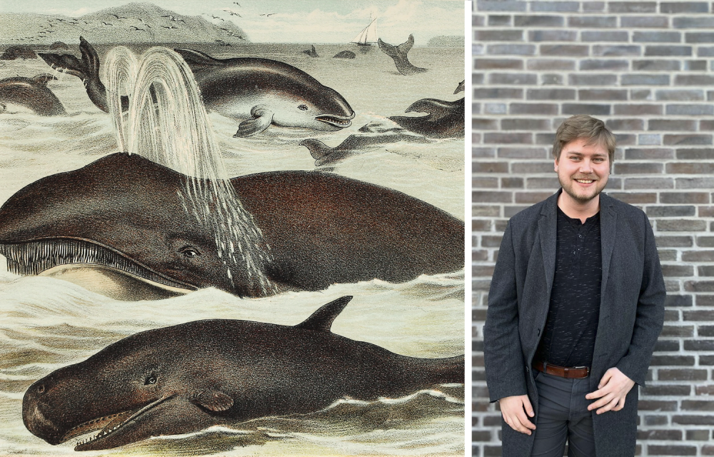 Bild Nils Dahlgren