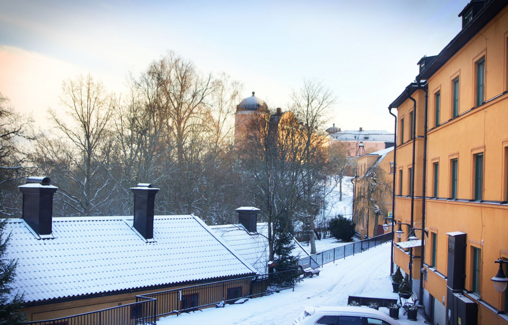 Slottet i vinterskrud