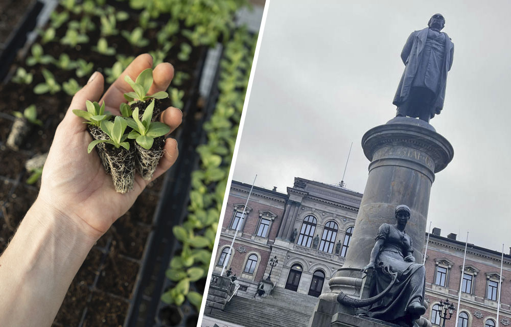 New sustainability project at Uppsala University
