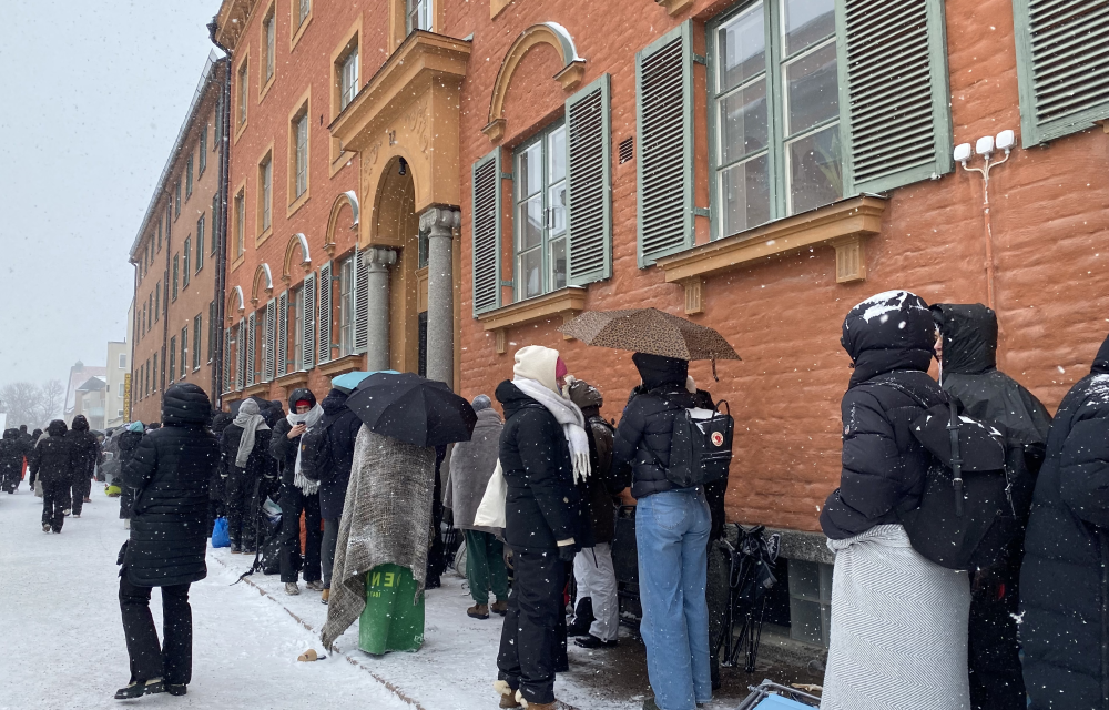 Köer inför valborg