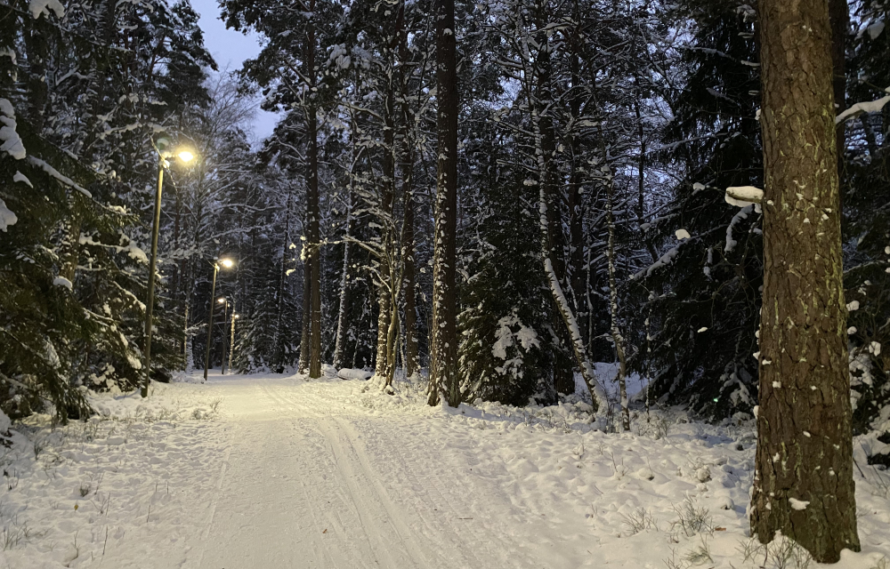 Elljusspår