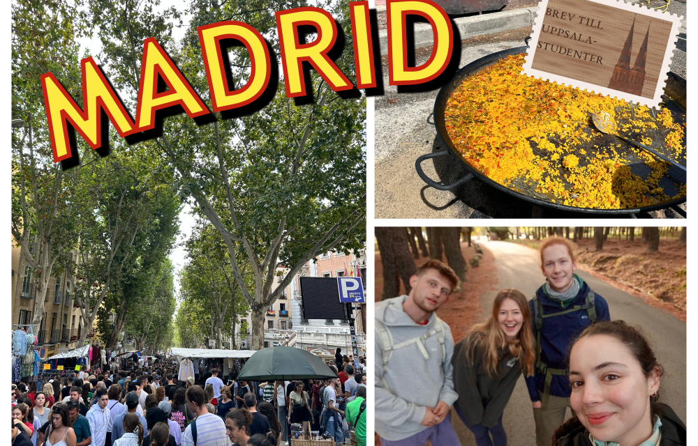 Vykort från Madrid
