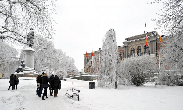 Universitetshuset på vintern